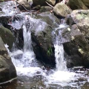 Meet your Posher, Debra